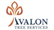 Avalon Tree Services