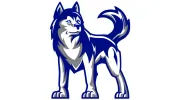 Skyview High School