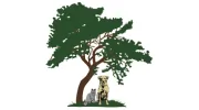 Live Oak Animal Hospital