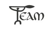 Team Real Estate