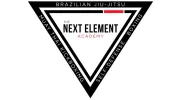 The Next Element Academy