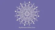 Big Bloomers Flower Farm