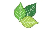 Dooling Landscape Service