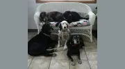 Monoma Veterinary Hospital PC