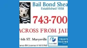Bail Bond Shealy