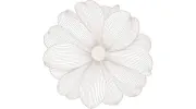 The White Dahlia
