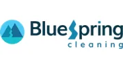 Blue Spring Cleaning