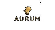 Aurum Home Technology