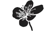 Hawthorn Holistic Health