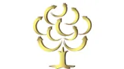 Ironwood Wealth Management