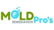 Mold Remediation Pro's