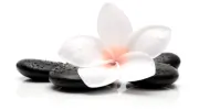 Zen Acupuncture