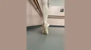 South Jersey Ballet