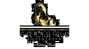 Coraggio Equestrian