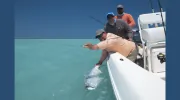 All Water Charters