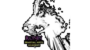 Ronin Martial Arts Academy