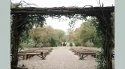 The Grove