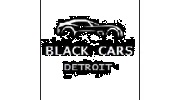 Airport Shuttle Service Detroit
