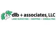 DLB & Associates