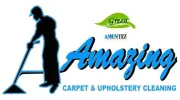 Amazing Carpet