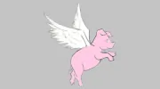 Pigwidgeon Events