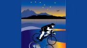 Downtown Bicycle Rental