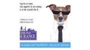 Simone Insurance