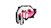 Kylie Cosmetics