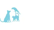 Midway Animal Hospital