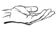 Body Systems Physical Therapy