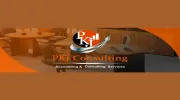 PKJ Consulting