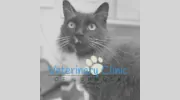 Veterinary Clinic of Lubbock