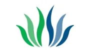 Healing Solutions Acupuncture