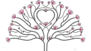 Redbud Medical Spa