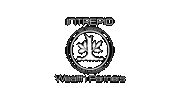 Intrepid Wealth Partners