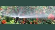 Terra Heights Landscaping