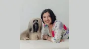 Pure Life Acupuncture