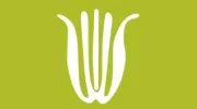 Brattle Square Florist