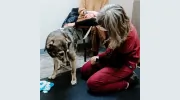 Range Animal Hospital