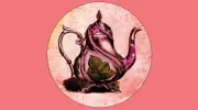 The Tea Party Company