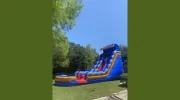 Bouncing Beez