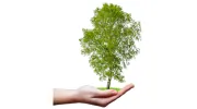 Birchview Gardens Assisted Living
