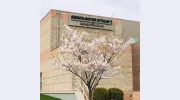 Sisson Boyer Eyecare