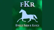 Knolle Cattle