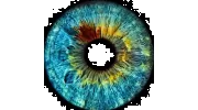 Iris Eye Care & Contact Lens Gallery