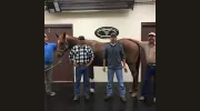 Hansford County Veterinary Hospital