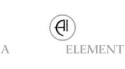 A Custom Element