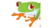 Treefrog Cinegraphix