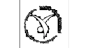 Danik Gymnastics
