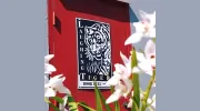 Laughing Tiger Studios